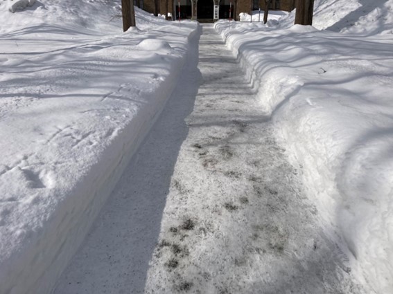 雪の積もった道

中程度の精度で自動的に生成された説明